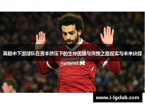 英超中下游球队在资本挤压下的生存困境与突围之路现实与未来抉择
