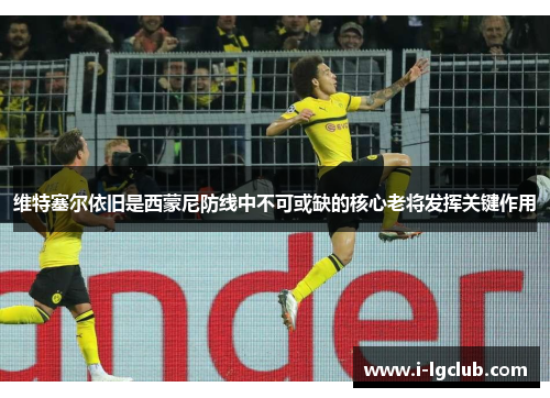 维特塞尔依旧是西蒙尼防线中不可或缺的核心老将发挥关键作用